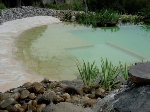 Autoconstruction d'une Piscine Naturelle