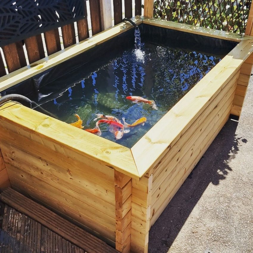 Construction D un Bassin Hors Sol Pour Poissons Guide Construction D un Bassin Hors Sol Pour Poissons Guide