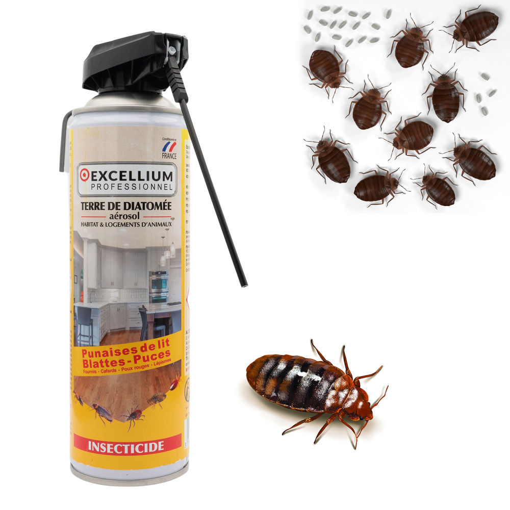 Terre de Diatomée contre les Punaises de Lit Terre de Diatomée contre les Punaises de Lit