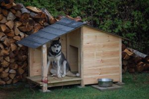 Niche pour Chiens Palettes