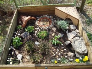 Refuge Parfait pour votre Tortue de Terre