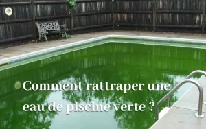 Remède de Grand-Mère : Solutions Naturelles pour une Eau de Piscine Verte
