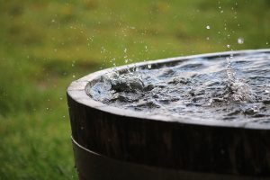 Récupérateur d'Eau de Pluie