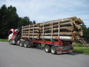 Camion de Grumes de Bois