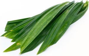 Feuille de Pandan