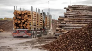 prix Semi-Remorque de Bois de Chauffage