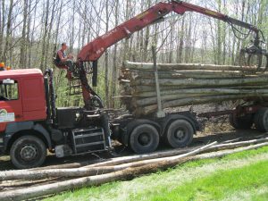 Grumier pour Bois de Chauffage