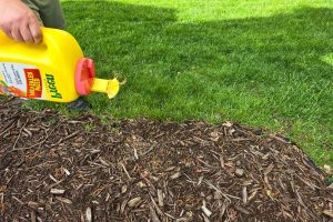 désherbants sélectifs pour jardin