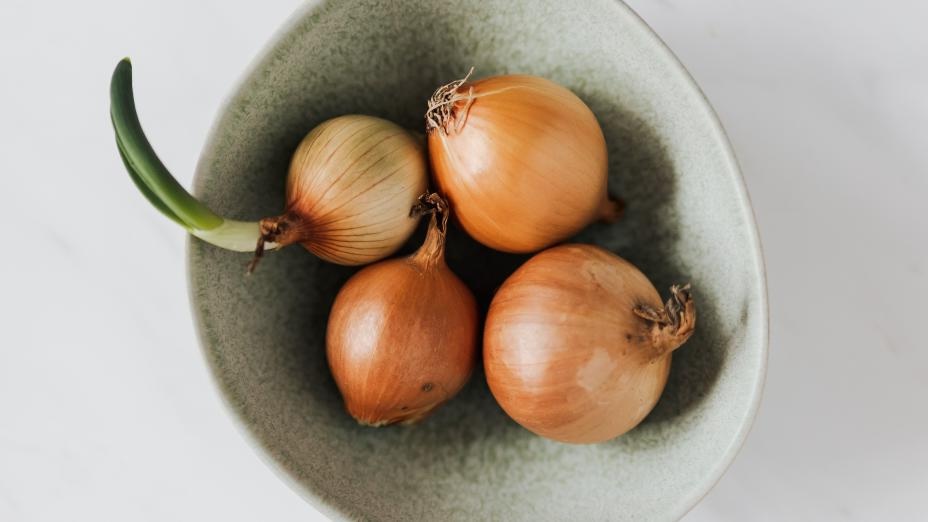 oignon sous le lit oignon sous le lit