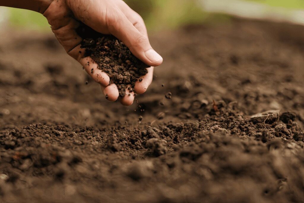 terre-vegetale-prix-m3