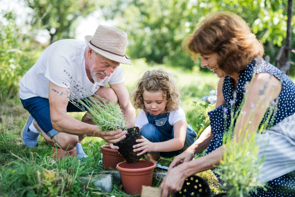 quand-planter-lavande
