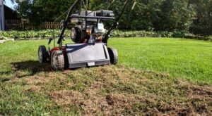 scarifier-une-pelouse