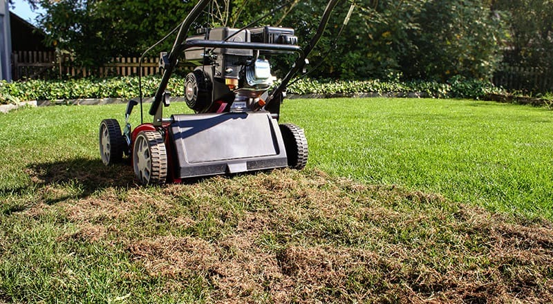scarifier-une-pelouse