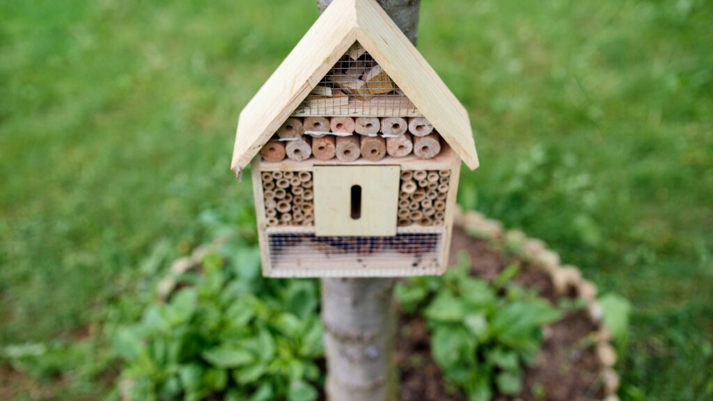 hotel-pour-insectes
