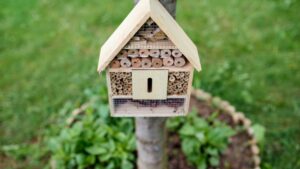 hotel-pour-insectes